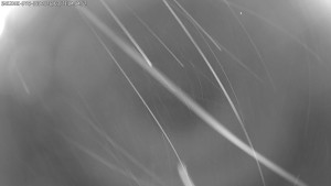 Dolní Morava - Stezka v oblacích - 21.3.2026 v 05:00 Dolní Morava - Stezka v oblacích - 21.3.2026 v 05:00