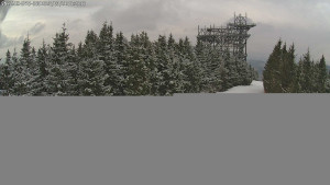 Dolní Morava - Stezka v oblacích - 21.3.2026 v 08:30 Dolní Morava - Stezka v oblacích - 21.3.2026 v 08:30