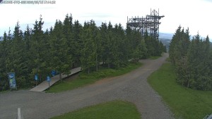 Nieder Mohrau - Pfad in den Wolken - 16.6.2026 v 17:45 Nieder Mohrau - Pfad in den Wolken - 16.6.2026 v 17:45