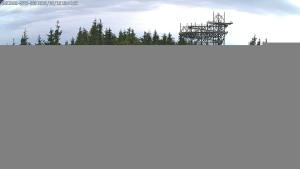 Nieder Mohrau - Pfad in den Wolken - 16.6.2026 v 18:45 Nieder Mohrau - Pfad in den Wolken - 16.6.2026 v 18:45