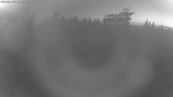 Path in the Clouds