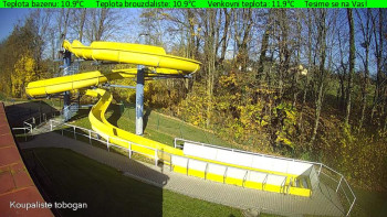 Snímek 7.11.2025 v 12:45