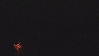 Snímek    29.10.2025 v 05:15