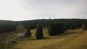 Snímek 5.11.2025 v 09:45