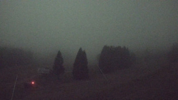 Snímek 7.11.2025 v 01:02