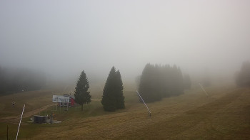 Snímek 7.11.2025 v 08:32