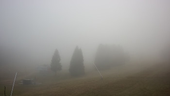 Snímek 7.11.2025 v 09:15