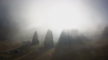 Snímek 7.11.2025 v 14:02