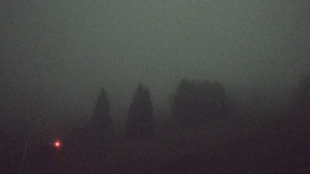 Snímek 8.11.2025 v 04:32