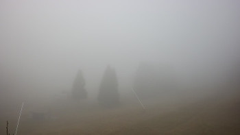 Snímek 8.11.2025 v 07:45