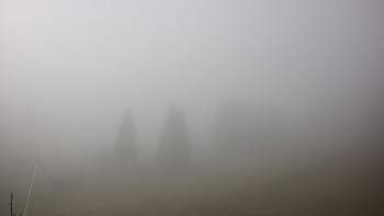 Snímek 8.11.2025 v 09:45