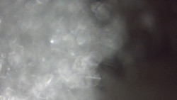 Sjezdovka Pařezovka, lanovka CineStar Express