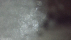 Sjezdovka Pařezovka, lanovka CineStar Express