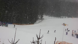 Sjezdovka Pařezovka, lanovka CineStar Express