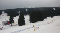 Sjezdovka Pařezovka, lanovka CineStar Express