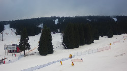 Sjezdovka Pařezovka, lanovka CineStar Express