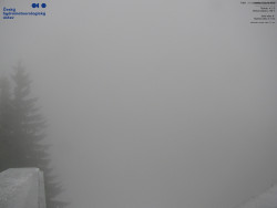 Červená sjezdovka, Třinec