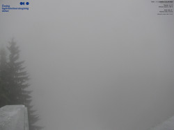 Červená sjezdovka, Třinec