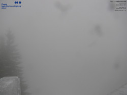 Červená sjezdovka, Třinec