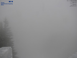 Červená sjezdovka, Třinec