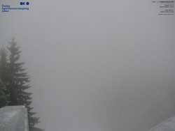 Červená sjezdovka, Třinec