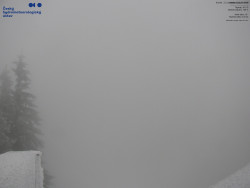 Červená sjezdovka, Třinec