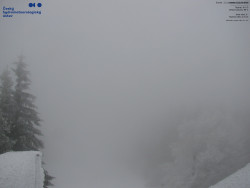 Červená sjezdovka, Třinec