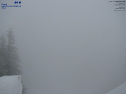 Červená sjezdovka, Třinec