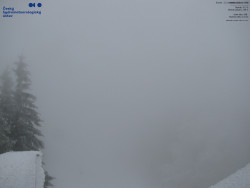 Červená sjezdovka, Třinec