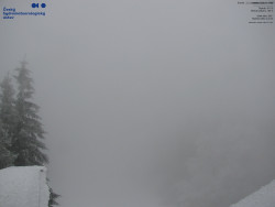 Červená sjezdovka, Třinec