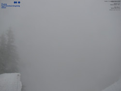 Červená sjezdovka, Třinec