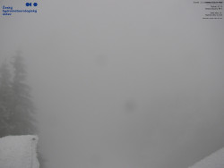 Červená sjezdovka, Třinec