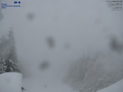 Červená sjezdovka, Třinec