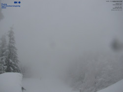 Červená sjezdovka, Třinec