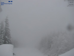 Červená sjezdovka, Třinec