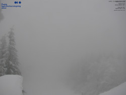 Červená sjezdovka, Třinec