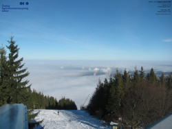 Červená sjezdovka, Třinec