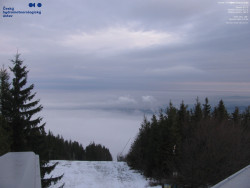 Červená sjezdovka, Třinec