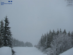 Červená sjezdovka, Třinec