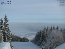 Červená sjezdovka, Třinec