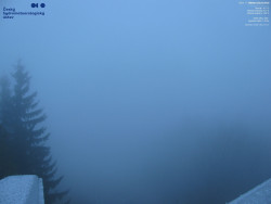 Červená sjezdovka, Třinec