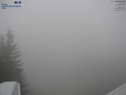 Červená sjezdovka, Třinec