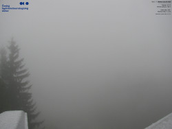 Červená sjezdovka, Třinec