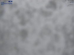 Červená sjezdovka, Třinec