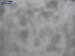 Červená sjezdovka, Třinec