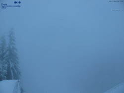 Červená sjezdovka, Třinec