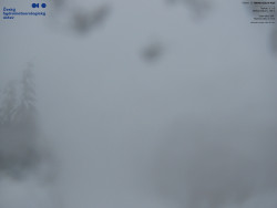 Červená sjezdovka, Třinec