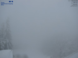 Červená sjezdovka, Třinec