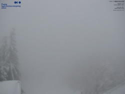 Červená sjezdovka, Třinec