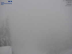 Červená sjezdovka, Třinec